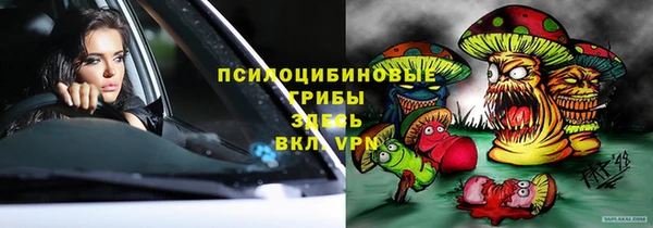 круглые Абаза