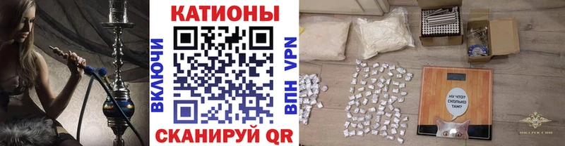 МЯУ-МЯУ мяу мяу  Болотное 