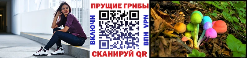 Галлюциногенные грибы ЛСД  как найти закладки  Болотное 